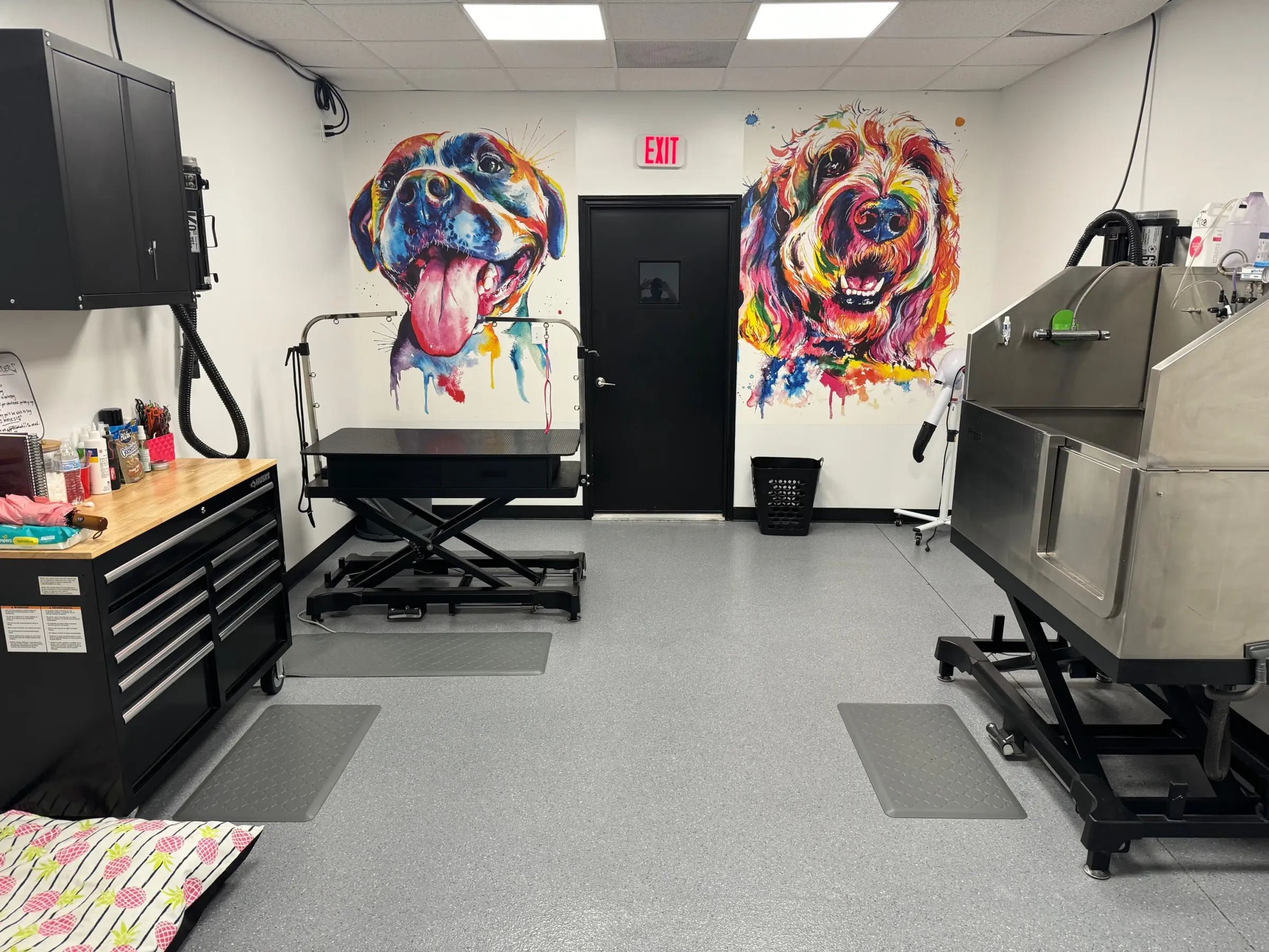 K9 Clubhouse climate-controlled environment