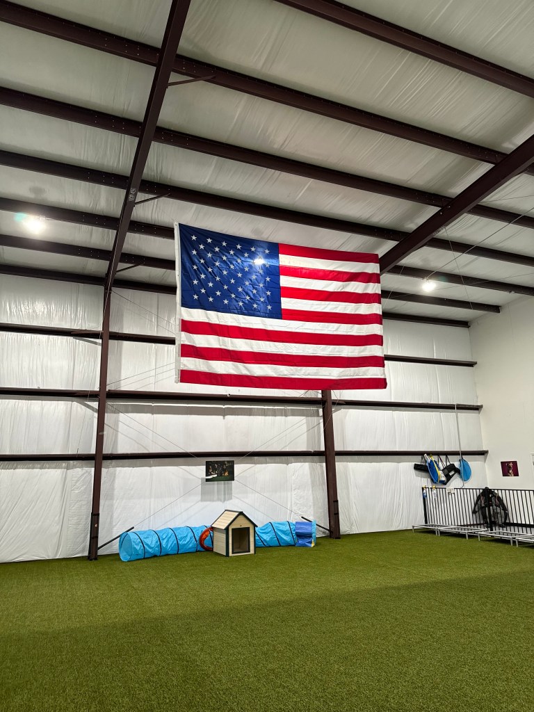 Doggy Daycare in The Woodlands, Tx honouring the American flag