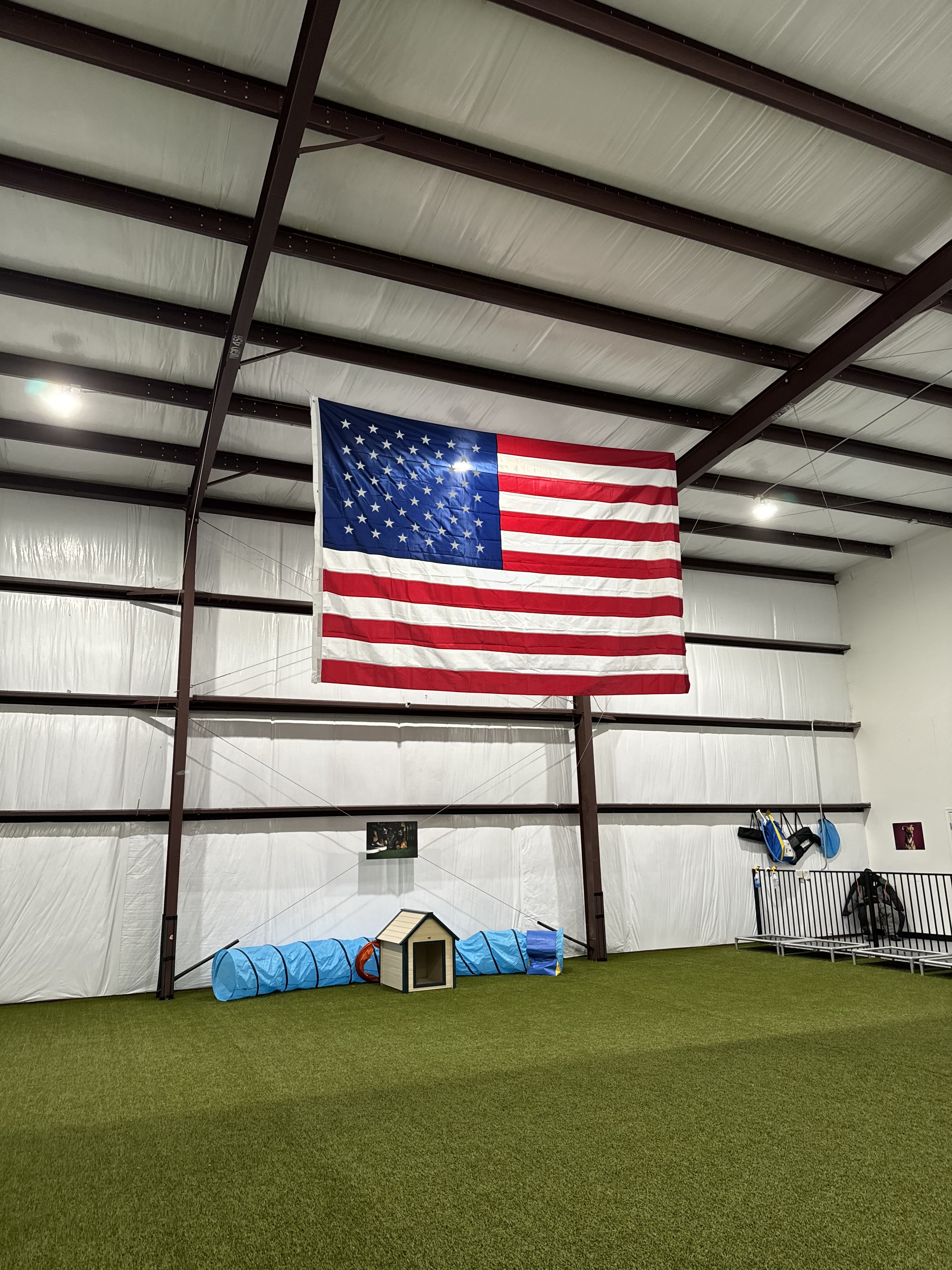 Doggy Daycare in spring tx honouring the American flag