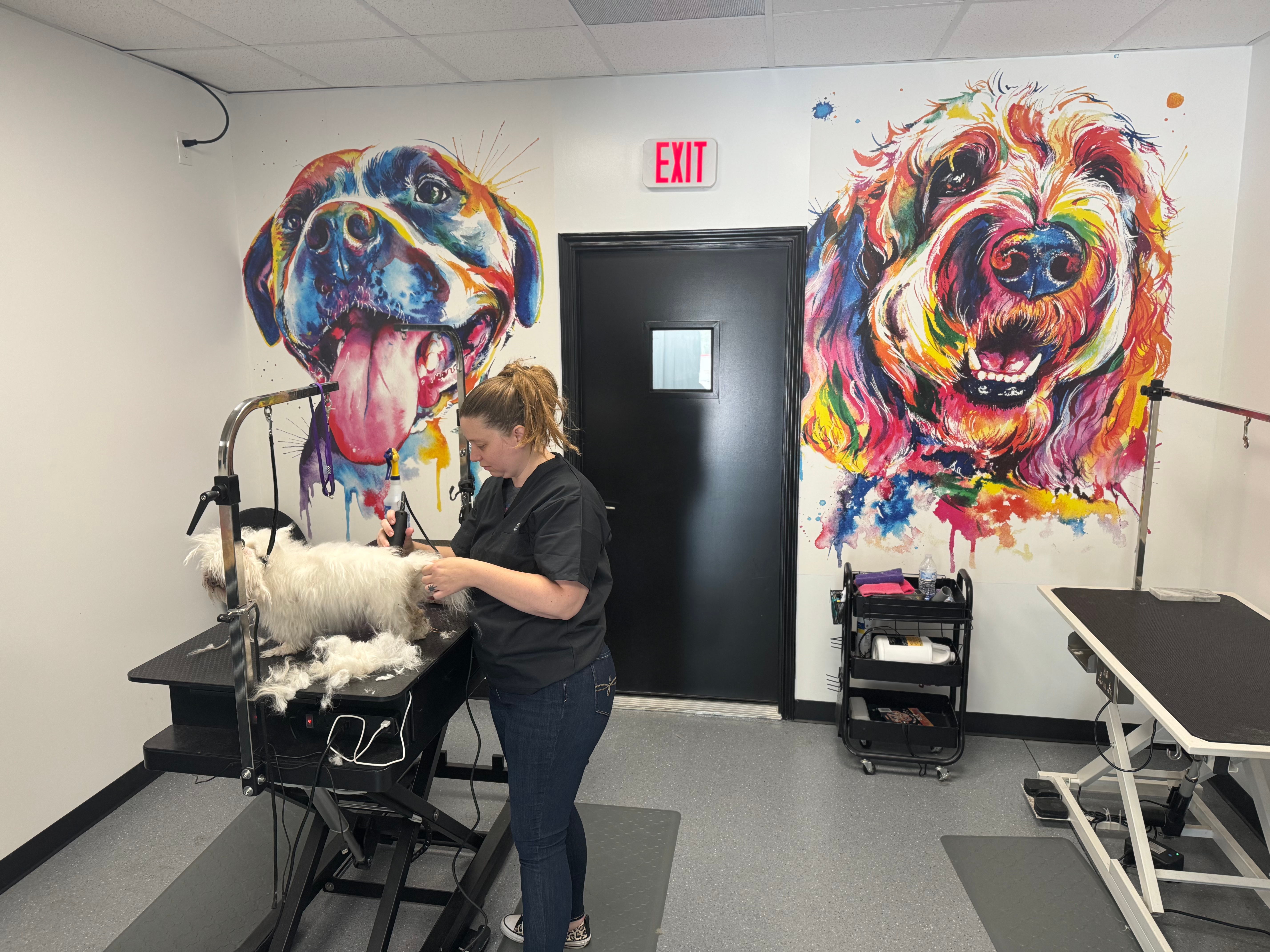 Dog grooming in Spring and The Woodlands TX