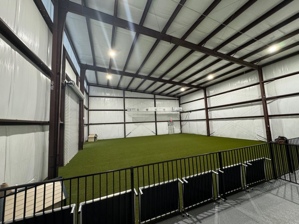 a indoor dog daycare field in a building