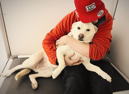 K9 Clubhouse staff member hugging a dog in boarding kennel in The Woodlands, Tx
