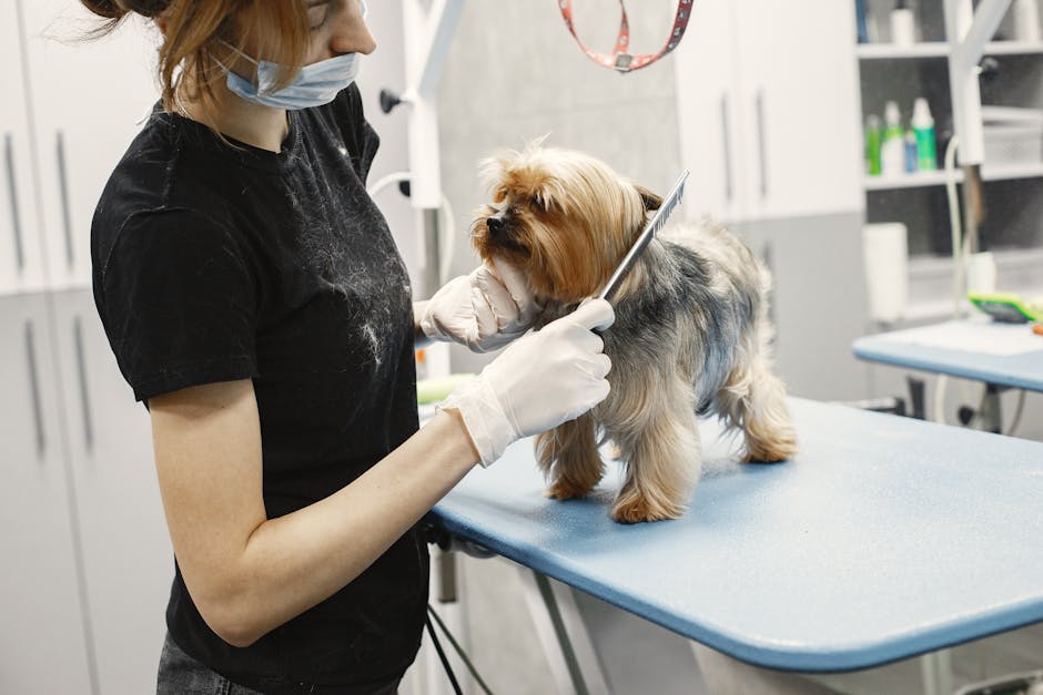 Signs Your Dog Needs Professional Grooming
